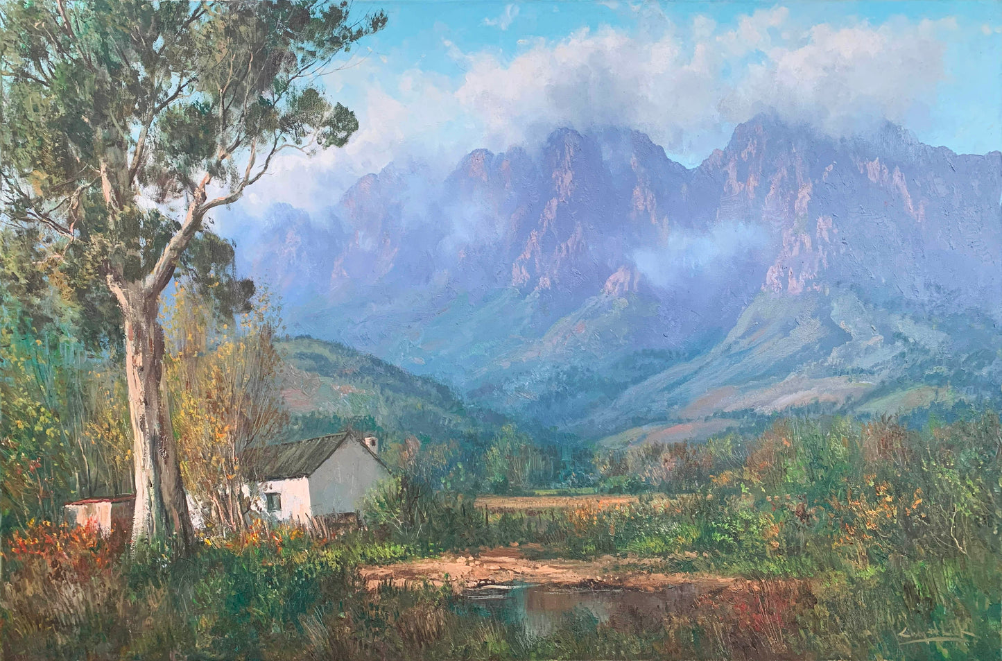 Casey van der Leek, Lovely large Cape Winelands 90x60m