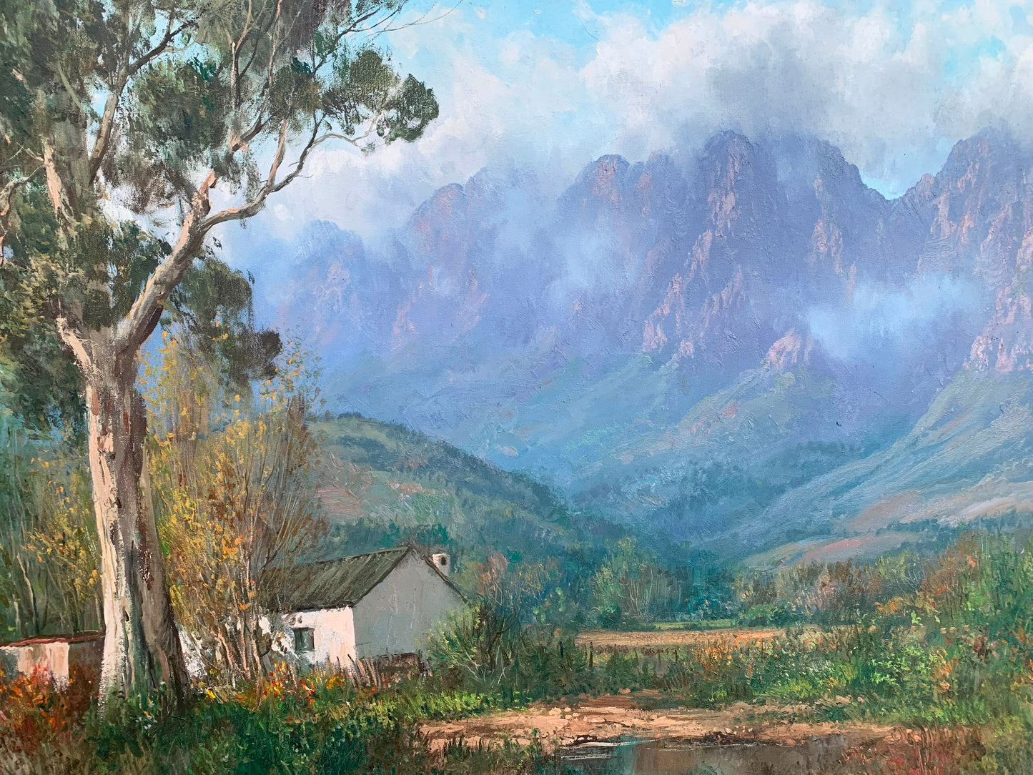 Casey van der Leek, Lovely large Cape Winelands 90x60m