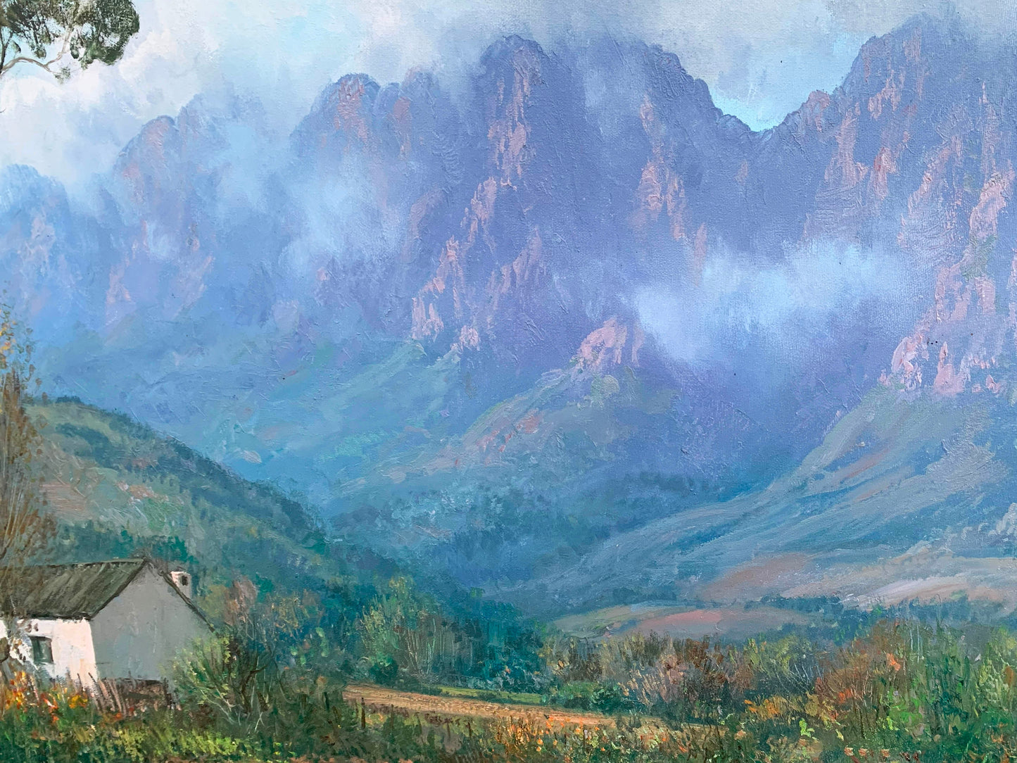 Casey van der Leek, Lovely large Cape Winelands 90x60m