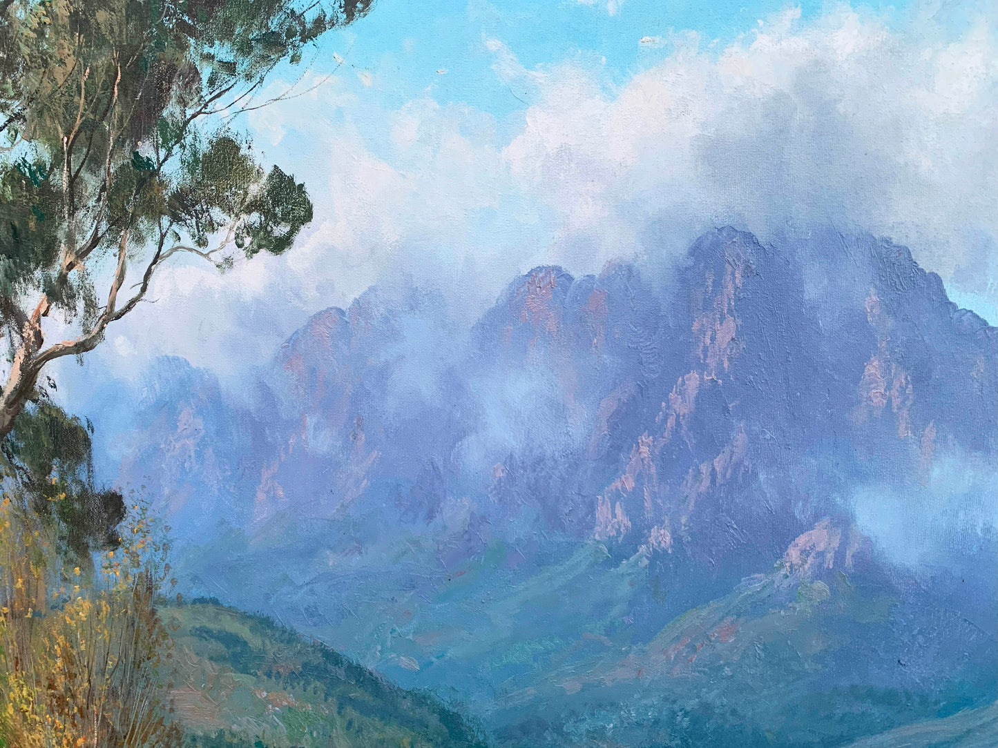 Casey van der Leek, Lovely large Cape Winelands 90x60m
