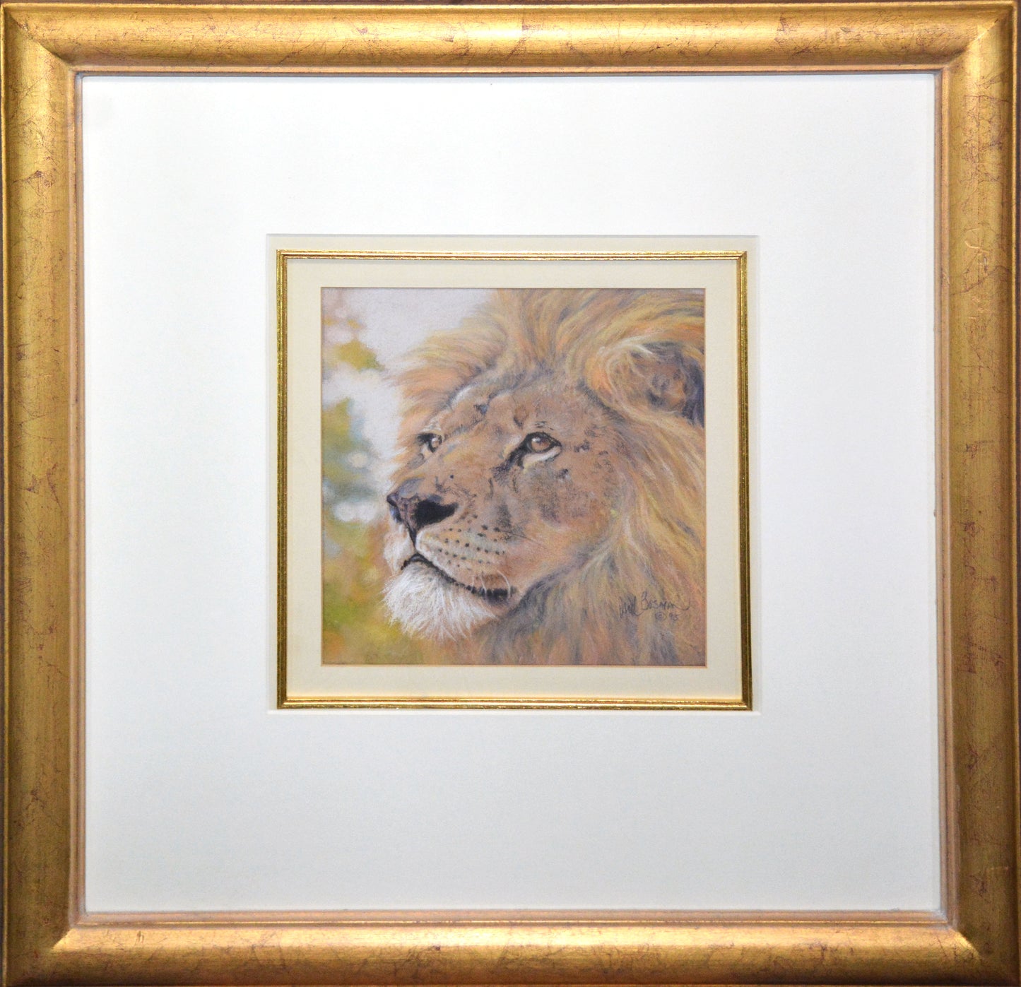 Paul Bosman - Male Lion Pastel, 26x24cm