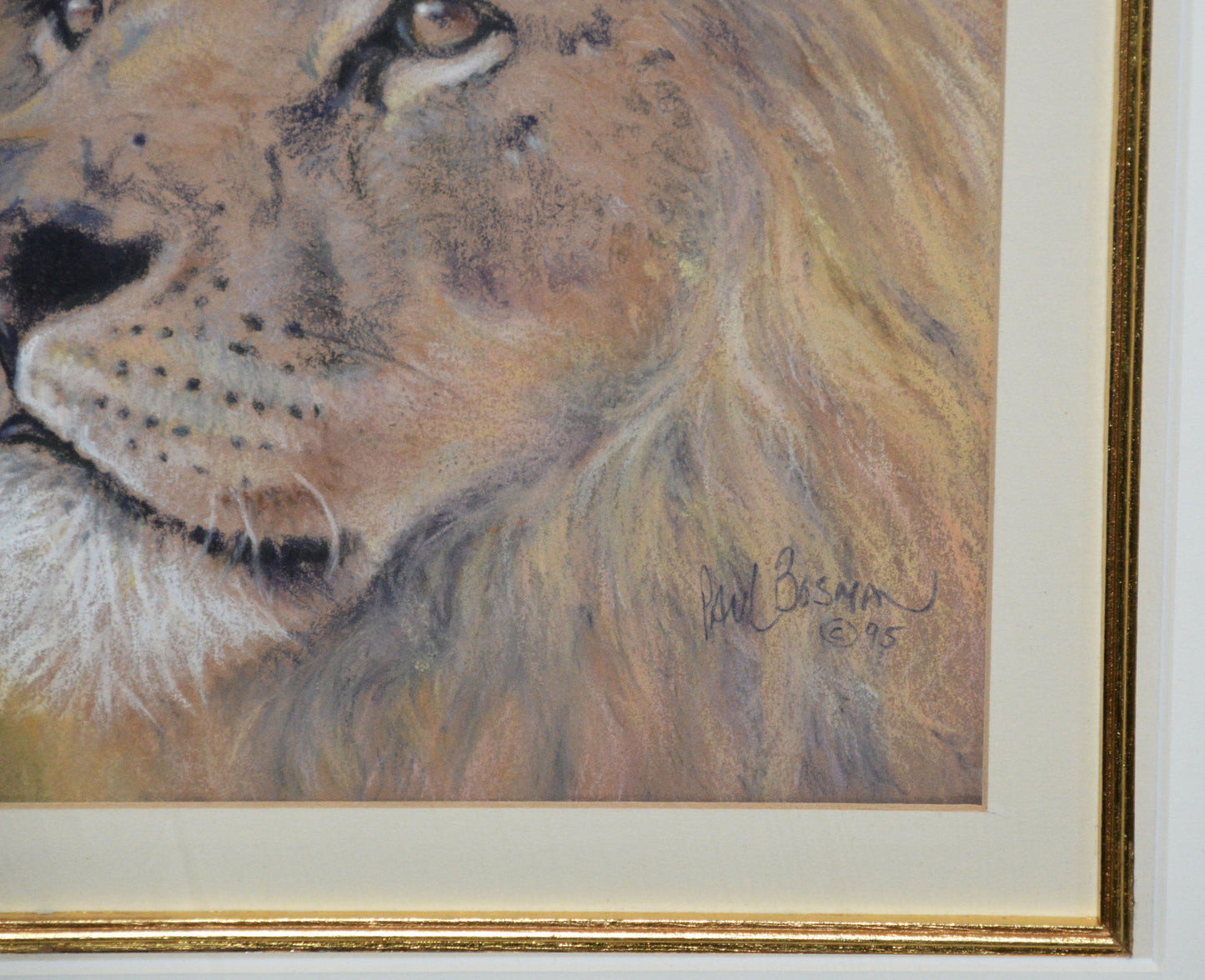 Paul Bosman - Male Lion Pastel, 26x24cm