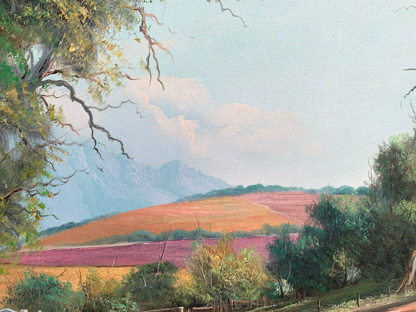 Otto Albertyn, Winelands Landscape 90x60m