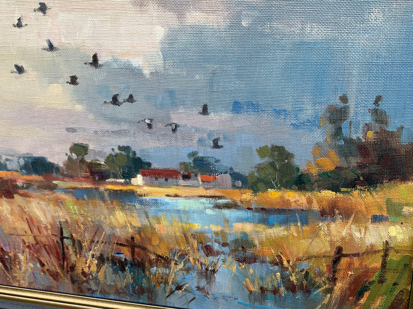 Dino Paravano - Ducks flying over Farm house Dam, 50x35cm
