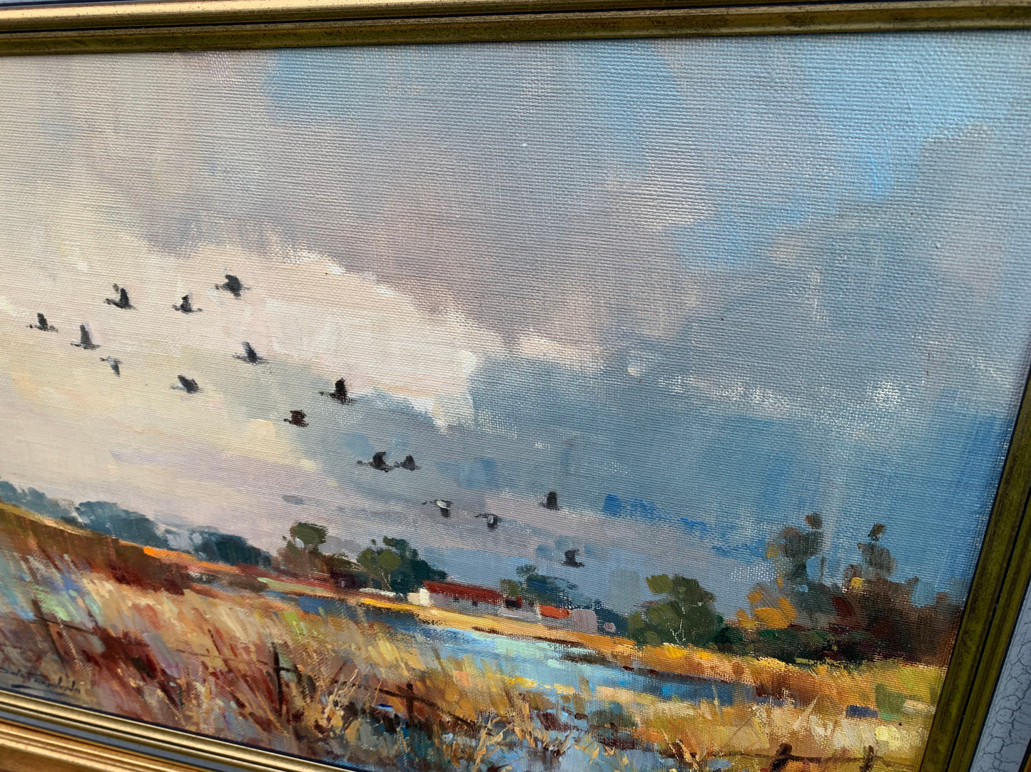 Dino Paravano - Ducks flying over Farm house Dam, 50x35cm