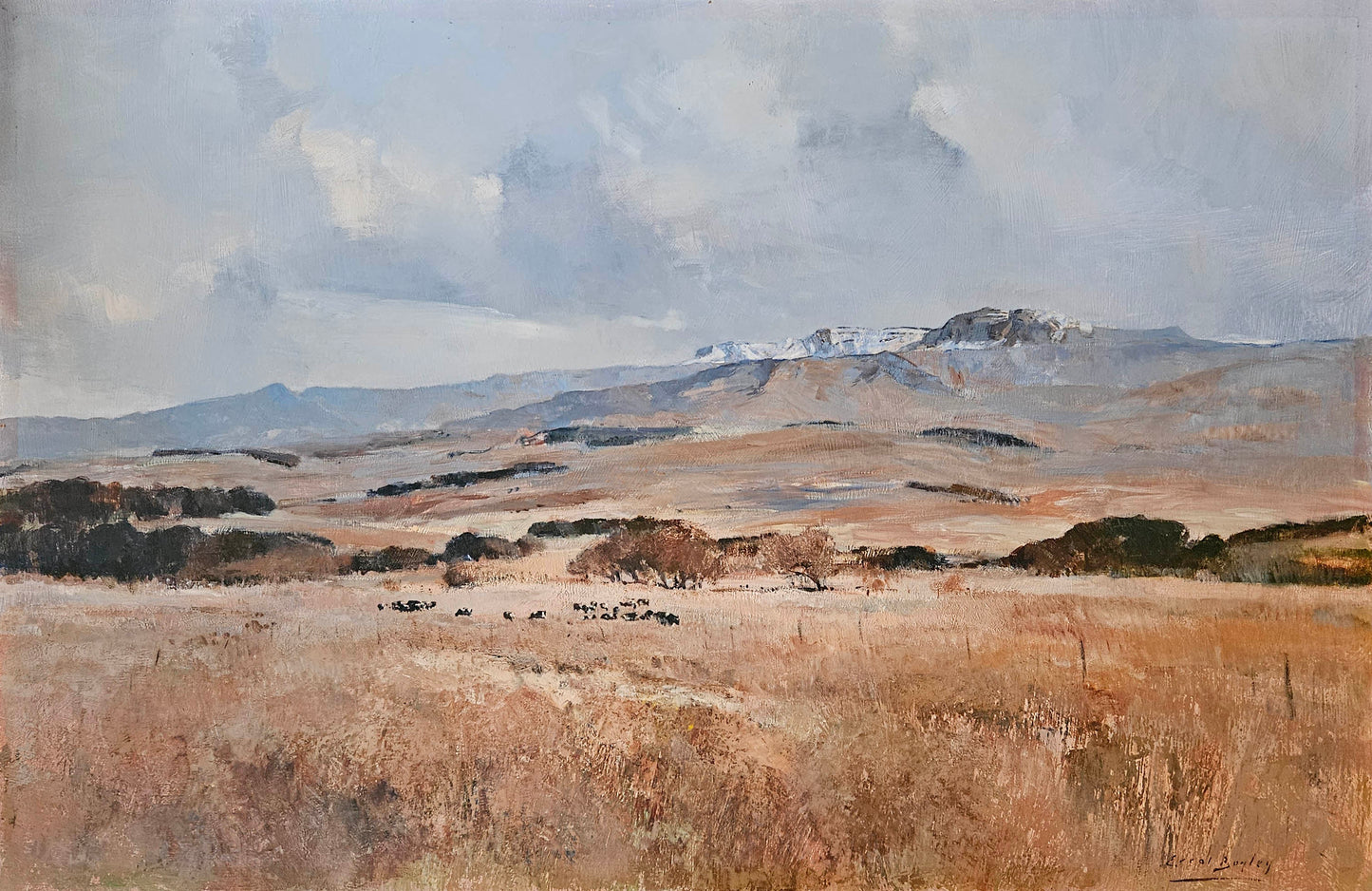 Errol Boyley - Landscape with cattle and snow-capped mountains, 90x60cm