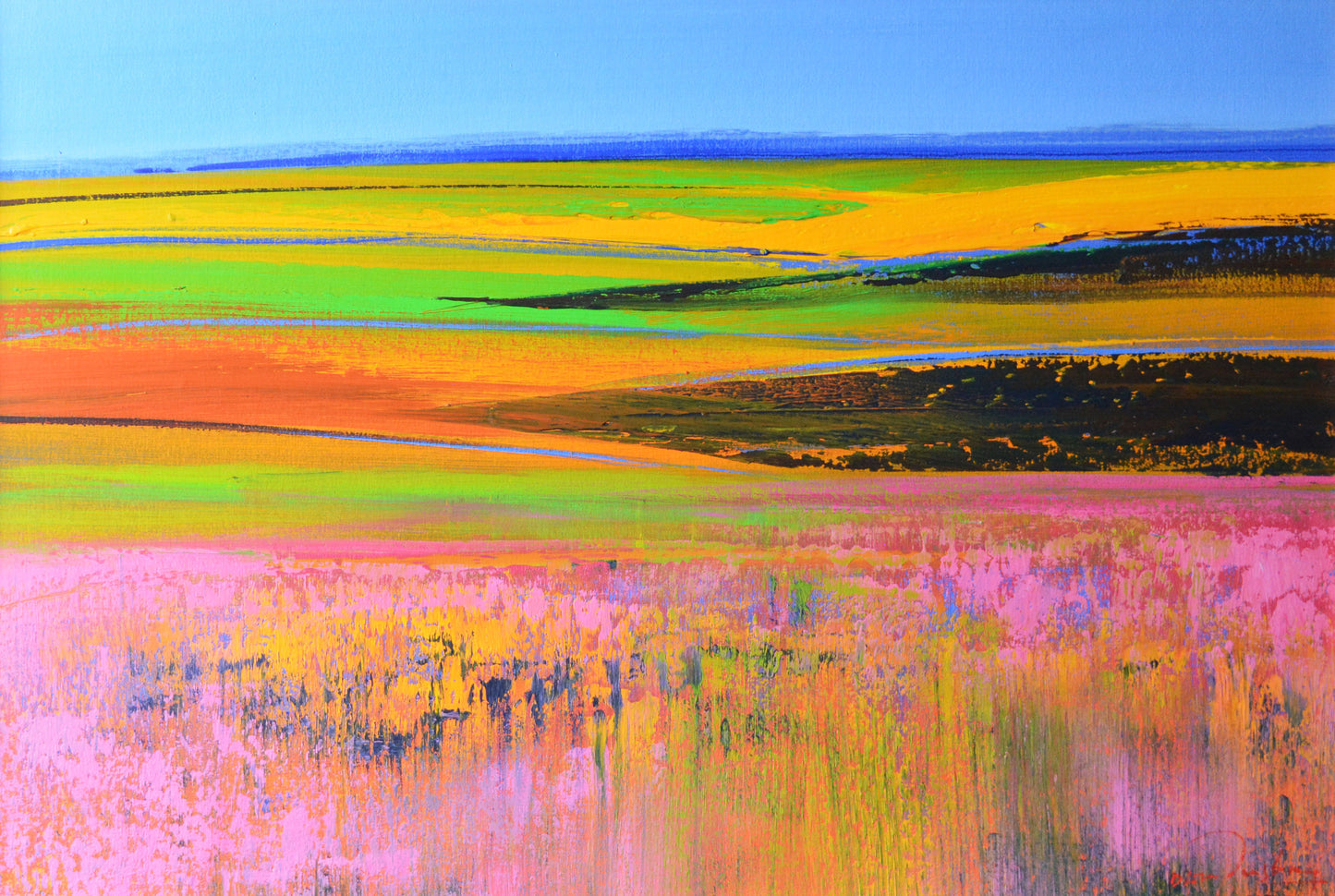 Derric van Rensburg - Overberg in the Spring, 88x58cm