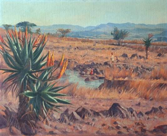 Giuseppe Catty - Rural Water Collectors with Aloes, 60x45cm