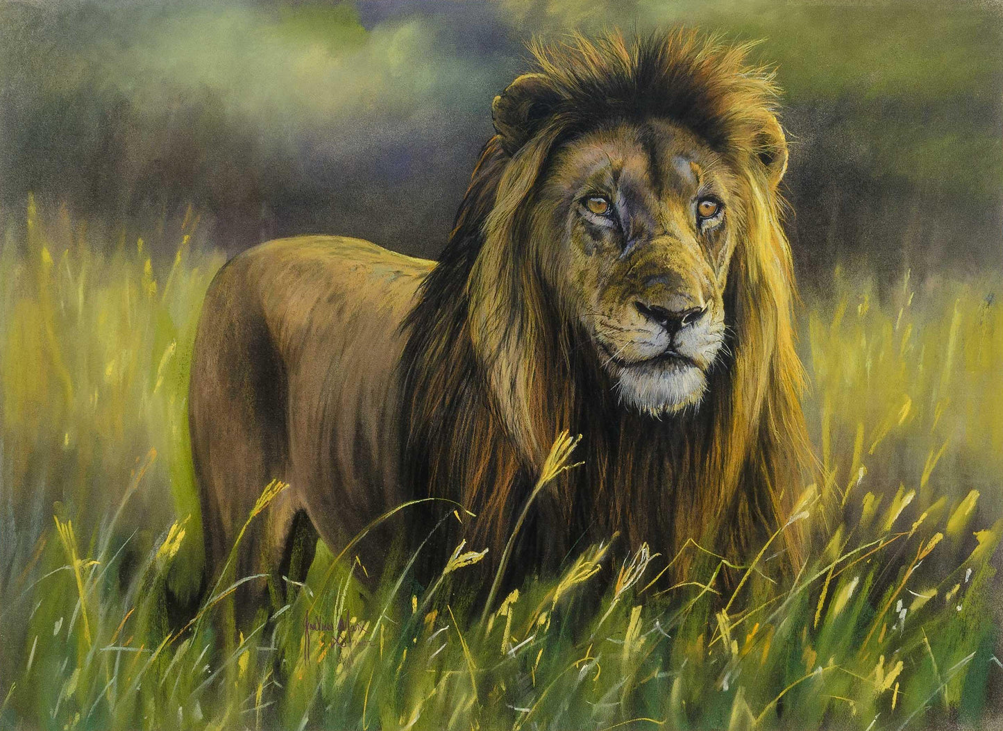 Ignatius Marx - Male Lion Pastel, 74x54cm