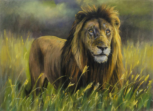 Ignatius Marx - Male Lion Pastel, 74x54cm