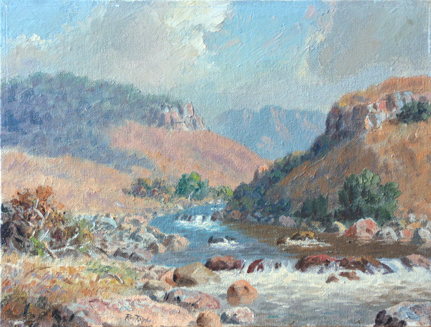 Roy Taylor - River Scene, Didima Valley, KZN 30x23cm
