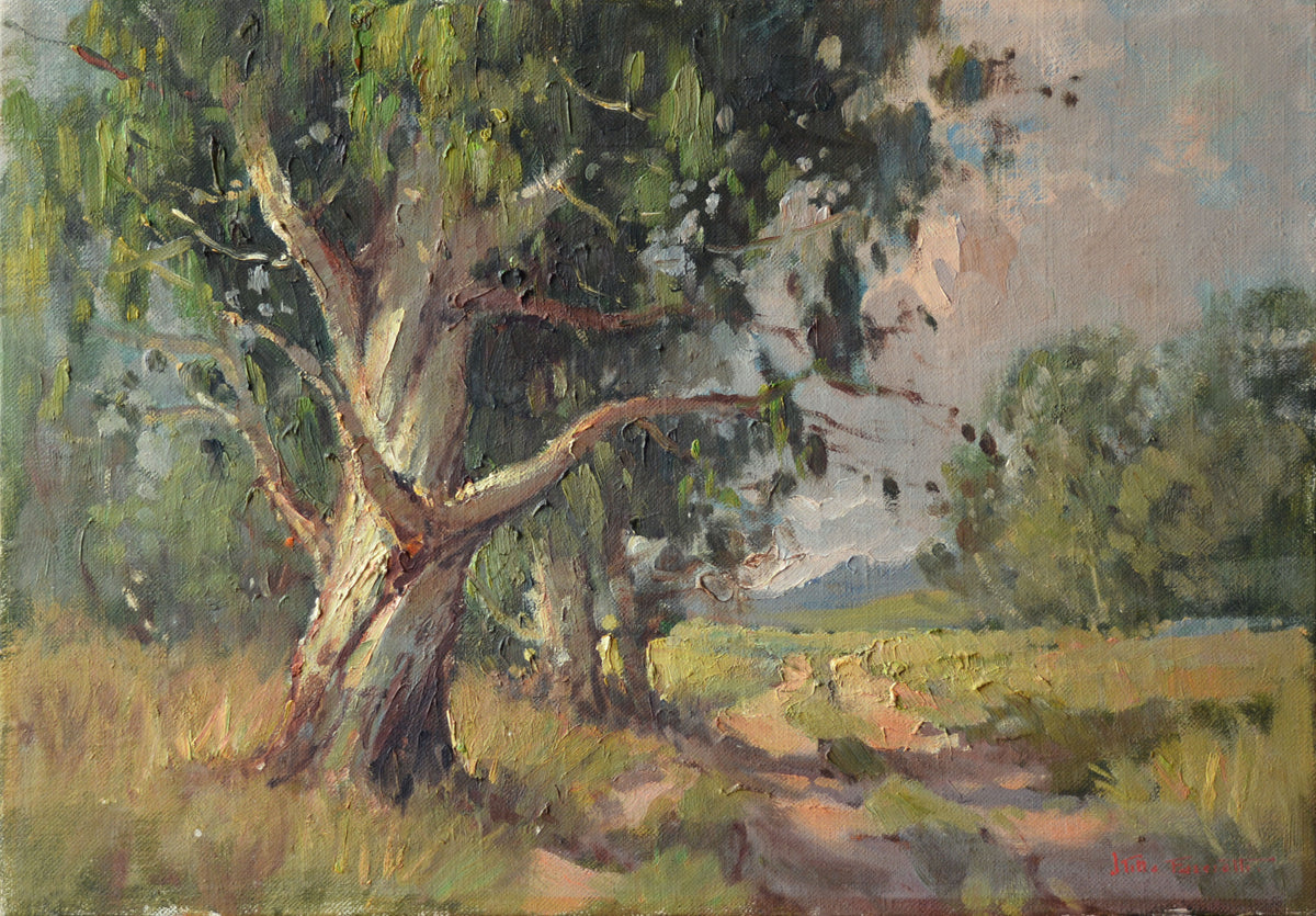 Titta Fasciotti - Lovely blue gum along a jeep track, 51x36cm