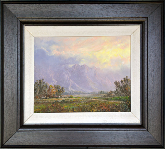 Casey van der Leek, Lovely large Cape Winelands 45x30cm