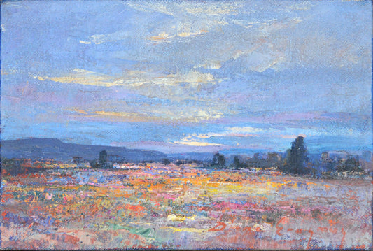 Diane Erasmus - Small Colourful little landscape 30x20cm