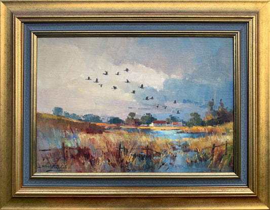 Dino Paravano - Ducks flying over Farm house Dam, 50x35cm