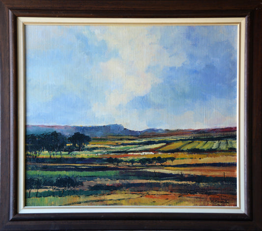 Mauro Chiarla - Large Colourful Landscape, 80 x 70cm